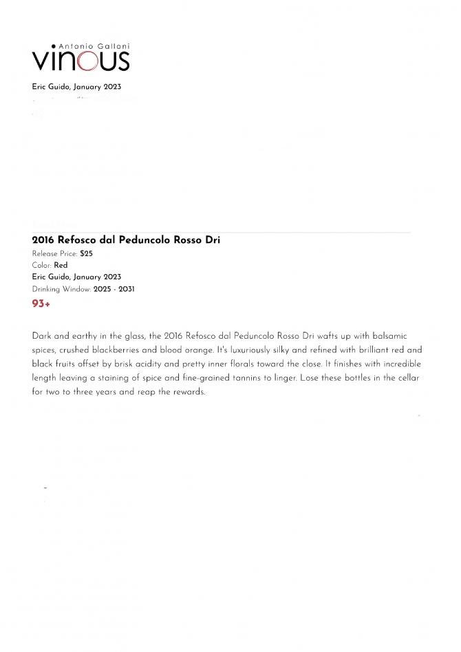 93+ VINOUS DI GALLONI REFOSCO DAL PEDUNCOLO ROSSO 2016 - ERIC GUIDO 93+ VINOUS DI GALLONI REFOSCO DAL PEDUNCOLO ROSSO 2016 - ERIC GUIDO
