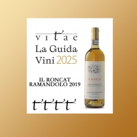 GUIDA AIS VITAE 