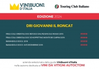 VINI BUONI D'ITALIA 2024